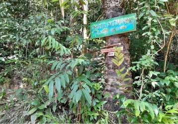 Terreno de 300m² à venda na rua da lagoa – paz e natureza em morro de são paulo