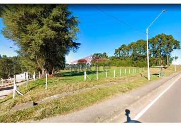 Terreno comercial à venda na br-376, 934, miringuava, são josé dos pinhais, 121000 m2 por r$ 15.730.000