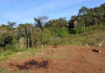 Terreno à venda com 50 hectares por r$ 580.000 - bracinho - apiúna/sc