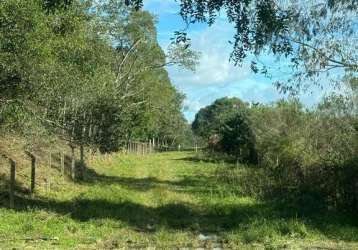 Ótima área de terras  com 26,600 m² ou 2,66 ha  em caxias do sul