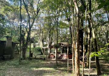 Chacara com 3 hectares em vila seca