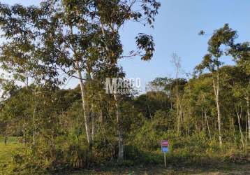 Terreno para venda em balneário barra do sul, conquista