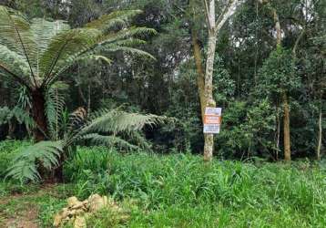 Terreno à venda na rua william starostik, colônia zacarias, são josé dos pinhais por r$ 890.000