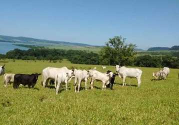 Fazenda parque das americas uberaba mg brasil