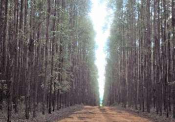 Fazenda santo antonio sete lagoas mg brasil