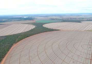 Fazenda santana paracatu mg brasil