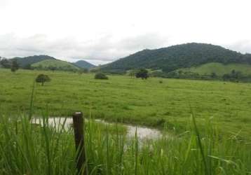 Fazenda corrego do ouro/corrego do ouro macae rj brasil