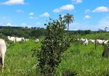 Fazenda serra verde (venda nova) belo horizonte mg brasil