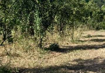 Fazenda muriqui tangua rj brasil