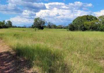 Fazenda fronteira santo antonio do leverger mt brasil