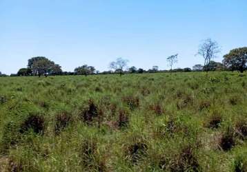 Fazenda capim de roca pindoretama ce brasil