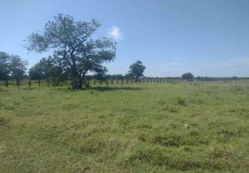 Fazenda jardim petropolis cuiaba mt brasil