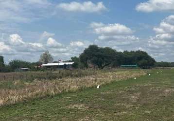 Fazenda centro corumba ms brasil