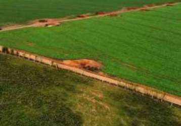 Fazenda centro paracatu mg brasil