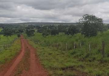 Fazenda centro feira nova do maranhao ma brasil