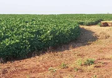 Fazenda coronel antonino campo grande ms brasil