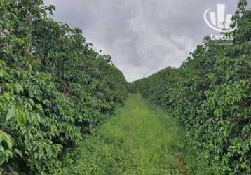 Fazenda à venda, 1260000 m² - zona rural - são gonçalo do sapucaí/mg