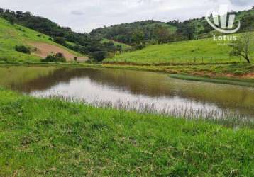 Sítio à venda, 242000 m² por r$ 1.700.000,00 - zona rural - monte sião/mg