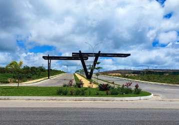 Lotes residenciais ou comerciais prontos para construir.