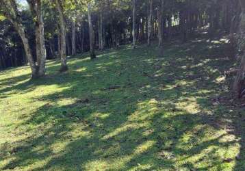 Terreno à venda dos finco - são bernardo do campo - sp