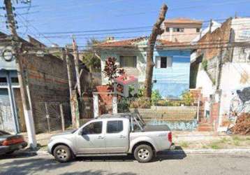 Terreno à venda vila firmiano pinto - são paulo - sp