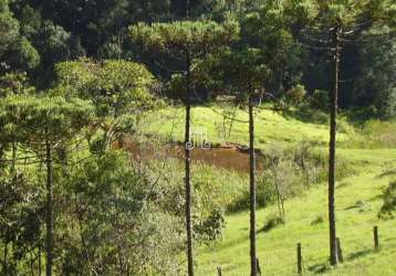 Sítio à venda na serra do japi - santa clara - jundaí/sp