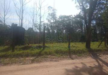 Terreno padrão em campo limpo paulista