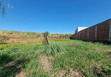 Terreno à venda, jardim catuai - mandaguaçu/pr