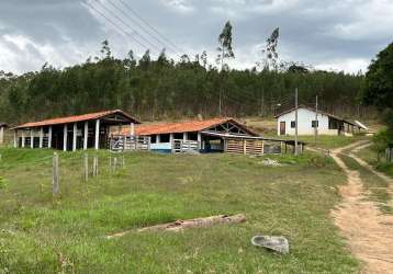 Fazenda com 1 sala à venda no centro, cunha  por r$ 3.300.000