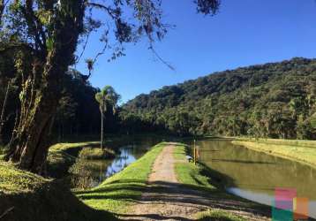 Terreno em condomínio fechado à venda na rua dona francisca, --, pirabeiraba, joinville por r$ 250.000