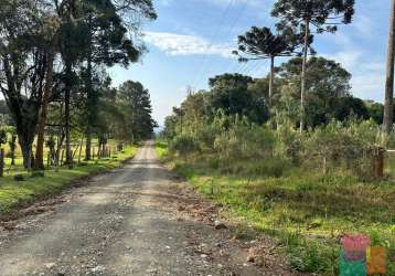 Terreno à venda na otto zschoerper, --, campestre, campo alegre por r$ 750.000