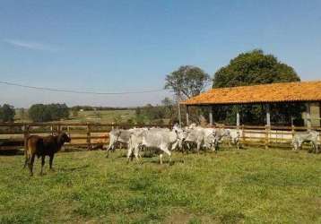 Fazenda/sítio/chácara para venda tem 400000 metros quadrados em centro - itapetininga - sp