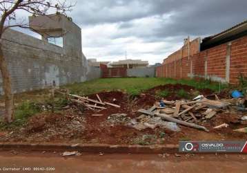 Terreno para venda em floresta, jardim araucaria ll