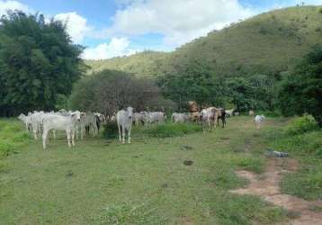 Fazenda a 25 km rodoviária do plano, 10 km lago norte e 20 km lago sul, dentro da cidade.