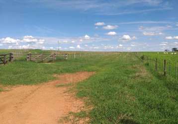 Fazenda à venda na área rural, área rural de penápolis, penápolis por r$ 86.000.000