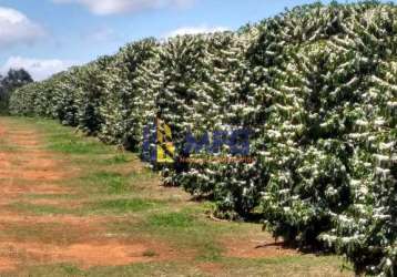 Fazenda à venda na avenida doutor hélio palermo, 1020, centro, franca por r$ 250.000.000