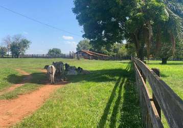 Fazenda à venda na área rural, área rural de araranguá, araranguá por r$ 38.000.000