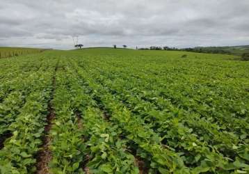 Chácara / sítio à venda na estrada vicinal, 1020, zona rural, pilar do sul por r$ 4.250.000