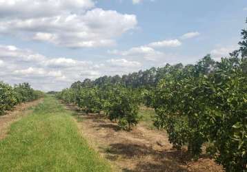 Fazenda à venda na área rural, área rural de araraquara, araraquara por r$ 72.000.000