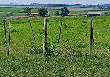 Fazenda à venda na área rural, área rural de penápolis, penápolis por r$ 120.000.000