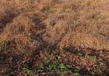 Terreno à venda na rua teresina, 1010, centro, barão de antonina por r$ 160.000