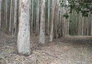 Fazenda à venda na vicinal, 1020, centro, lavrinhas por r$ 30.000.000