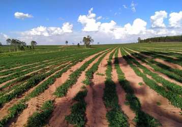 Fazenda à venda na rio branco, alto cafezal, marília por r$ 21.450.000