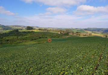 Fazenda à venda, 100 alqueires por r$ 17.000.000 - centro - goioxim/pr