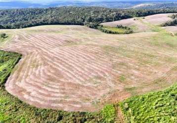 Fazenda à venda, 135 alqueires por r$ 15.000.000,00 - entre rios - guarapuava/pr