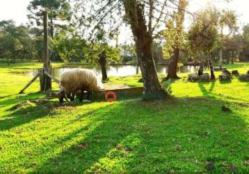 Chácara à venda, 05 alqueires por r$ 1.800.000 - zona rural - guarapuava/pr