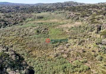 Fazenda à venda, 120 alqueire por r$ 4.800.000 - zona rural - guarapuava/pr