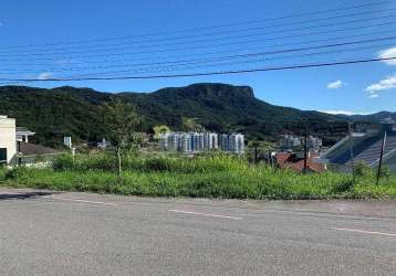 Terreno à venda, cidade universitária pedra branca, palhoça, sc