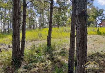 Terreno à venda, 3200 m² por r$ 660.000,00 - caxambu - jundiaí/sp