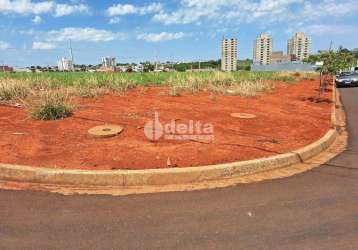 Terreno à venda, loteamento portal do vale ii - uberlândia/mg